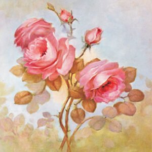 EASY TRANSFER SMALL ( FOR DARK BACKGROUND ) 5056