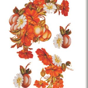 EASY TRANSFER SMALL (FOR LIGHT BACKGROUND ) 5506