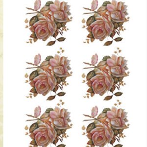 EASY TRANSFER SMALL (FOR LIGHT BACKGROUND ) 5522