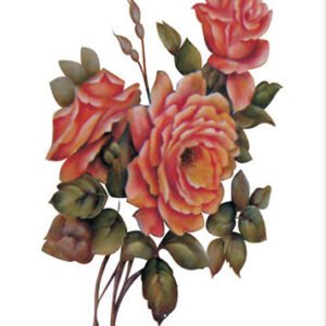 EASY TRANSFER SMALL (FOR LIGHT BACKGROUND ) 5534