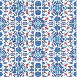 EASY TRANSFER SMALL (FOR LIGHT BACKGROUND ) 5546