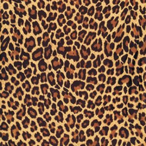 EASY TRANSFER SMALL (FOR LIGHT BACKGROUND ) 5562