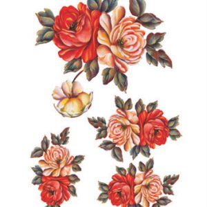 EASY TRANSFER BIG (FOR DARK BACKGROUND) 6114