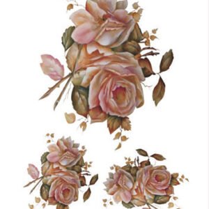 EASY TRANSFER BIG (FOR DARK BACKGROUND) 6136