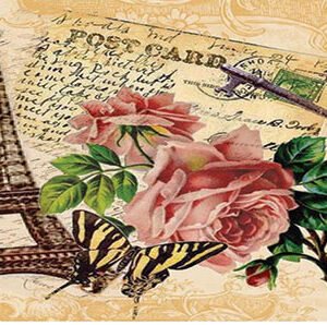 EASY TRANSFER BIG (FOR DARK BACKGROUND) 6242