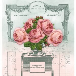 EASY TRANSFER BIG (FOR DARK BACKGROUND) 6353