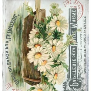 EASY TRANSFER BIG (FOR DARK BACKGROUND) 6354