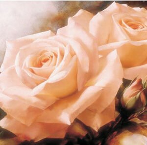 EASY TRANSFER BIG (FOR LIGHT BACKGROUND) 6542