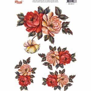 EASY TRANSFER BIG (FOR LIGHT BACKGROUND) 6614