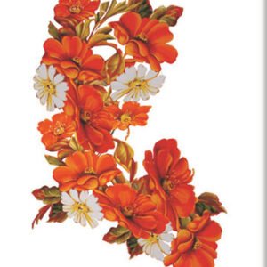 EASY TRANSFER BIG (FOR LIGHT BACKGROUND) 6622