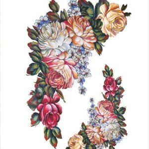 EASY TRANSFER BIG (FOR LIGHT BACKGROUND) 6646