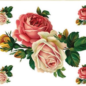 EASY TRANSFER BIG (FOR LIGHT BACKGROUND) 6730