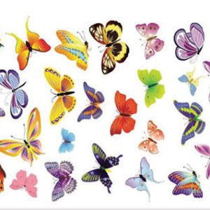 EASY TRANSFER BIG (FOR LIGHT BACKGROUND) 6756