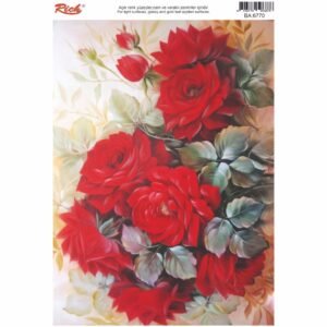 EASY TRANSFER BIG (FOR LIGHT BACKGROUND) 6770