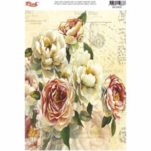 EASY TRANSFER BIG (FOR LIGHT BACKGROUND) 6800