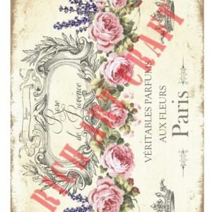 EASY TRANSFER BIG (FOR LIGHT BACKGROUND) 6802