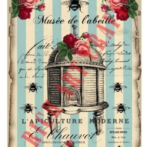 EASY TRANSFER BIG (FOR LIGHT BACKGROUND) 6810