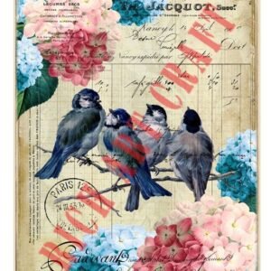 EASY TRANSFER BIG (FOR LIGHT BACKGROUND) 6812