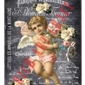 EASY TRANSFER BIG (FOR LIGHT BACKGROUND) 6816