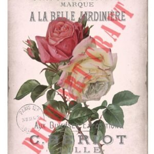 EASY TRANSFER BIG (FOR LIGHT BACKGROUND) 6820