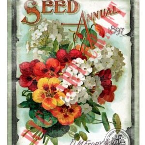 EASY TRANSFER BIG (FOR LIGHT BACKGROUND) 6822