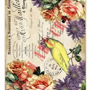 EASY TRANSFER BIG (FOR LIGHT BACKGROUND) 6826