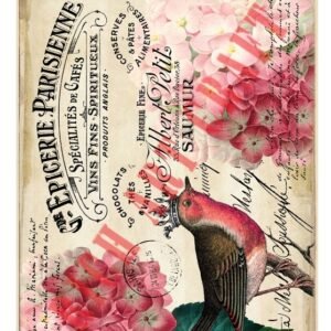 EASY TRANSFER BIG (FOR LIGHT BACKGROUND) 6828