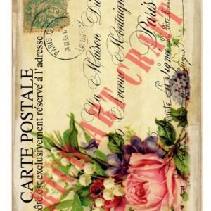 EASY TRANSFER BIG (FOR LIGHT BACKGROUND) 6832