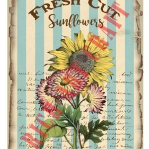 EASY TRANSFER BIG (FOR LIGHT BACKGROUND) 6834