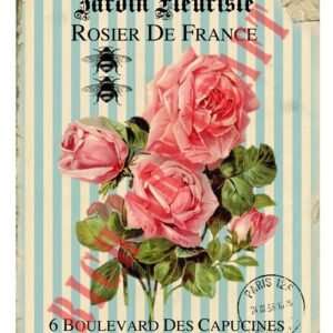 EASY TRANSFER BIG (FOR LIGHT BACKGROUND) 6838