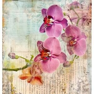 RE-CREATE SERIES RICE PAPER