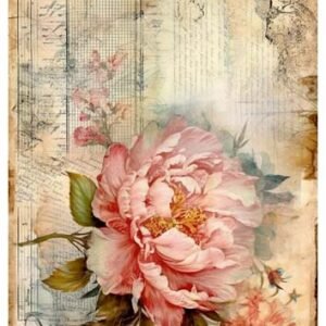 RE-CREATE SERIES RICE PAPER