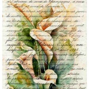 RE-CREATE SERIES RICE PAPER