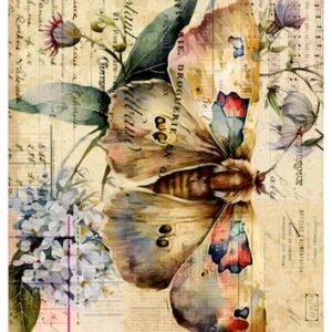 RE-CREATE SERIES RICE PAPER