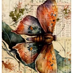 RE-CREATE SERIES RICE PAPER