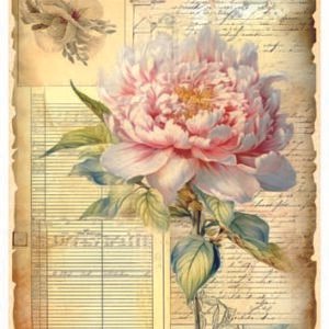 RE-CREATE SERIES RICE PAPER