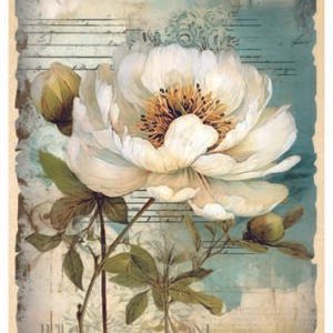 RE-CREATE SERIES RICE PAPER