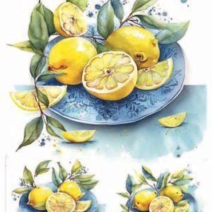 RE-CREATE SERIES RICE PAPER