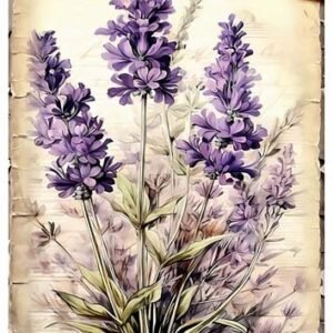 RE-CREATE SERIES RICE PAPER