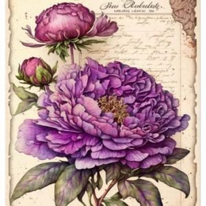 RE-CREATE SERIES RICE PAPER