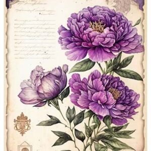 RE-CREATE SERIES RICE PAPER