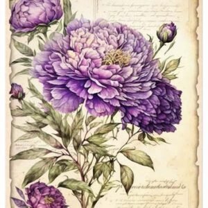 RE-CREATE SERIES RICE PAPER