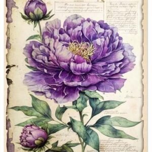 RE-CREATE SERIES RICE PAPER