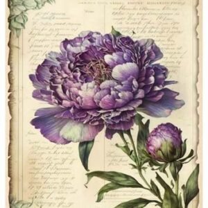 RE-CREATE SERIES RICE PAPER