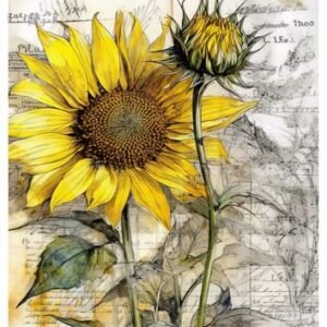 RE-CREATE SERIES RICE PAPER