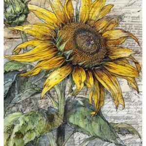 RE-CREATE SERIES RICE PAPER