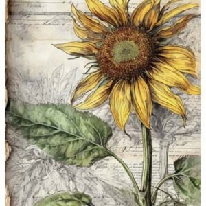 RE-CREATE SERIES RICE PAPER