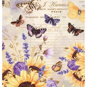 RE-CREATE SERIES RICE PAPER