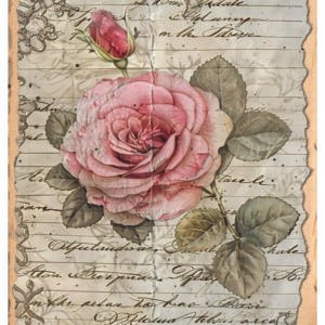 RE-CREATE SERIES RICE PAPER