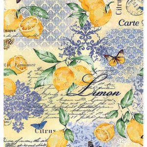 RE-CREATE SERIES RICE PAPER